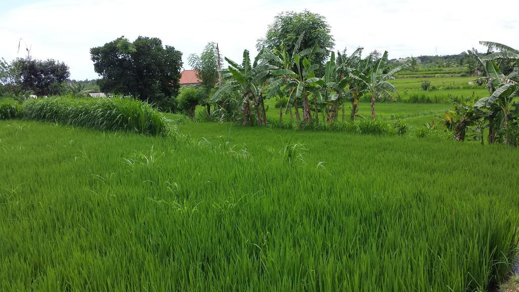 Puri Pondok Dawa Villa Kusamba Exterior foto